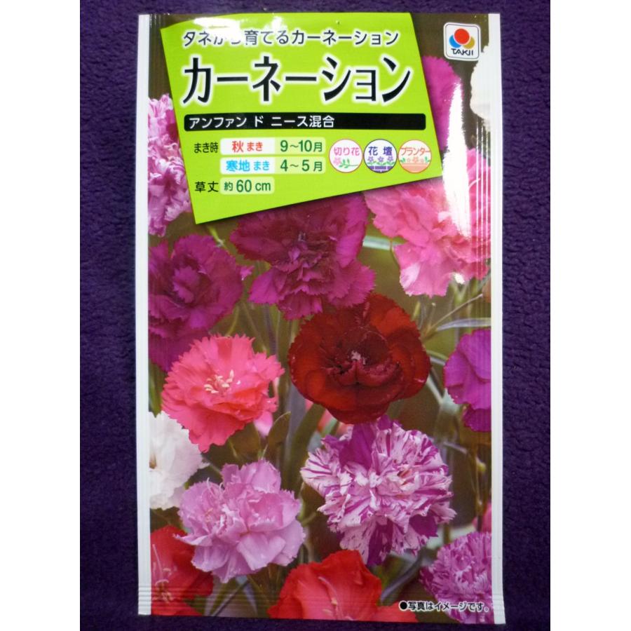 ★種子★ カーネーション アンファン ド ニース混合 タキイ種苗 22.04 ◎タネから育てる楽しさ♪ (ゆうパケット便可能)