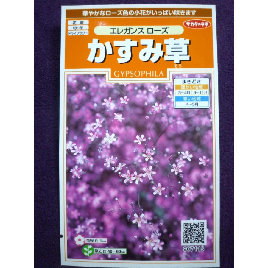 種子 かすみ草 エレガンス ローズ サカタのタネ 23 05 切り花やドライフラワーとしても楽しめます ゆうパケット便可能 a ガーデンショップ ミカワ 通販 Yahoo ショッピング