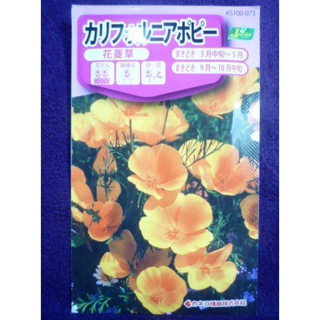 26円 賜物 カリフォルニアポピー 種 ピンク 1袋 500mg ポピーの種 ポピーの花