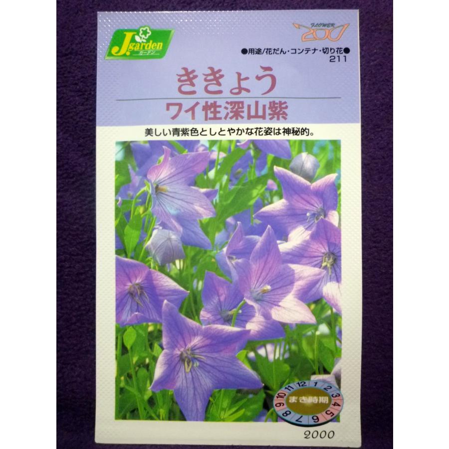 花種子 カネコ種苗 黄花コスモス混合 ５００ｇ袋詰