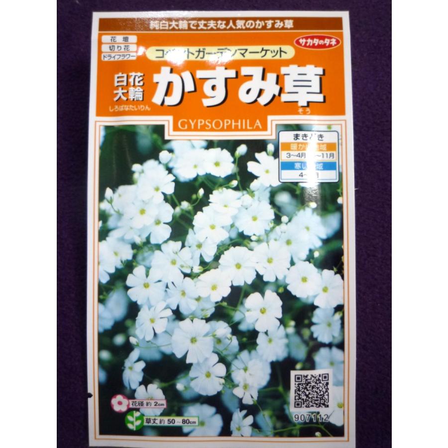 種子 白花大輪かすみ草 コベントガーデンマーケット サカタのタネ 22 05 人気の切り花用です ゆうパケット便可能 ガーデンショップ ミカワ 通販 Yahoo ショッピング