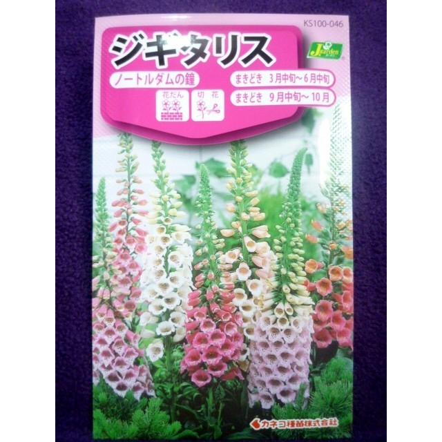 種子 ジギタリス ノートルダムの鐘 カネコ種苗 22 06 狐の手袋 ゆうパケット便可能 ガーデンショップ ミカワ 通販 Yahoo ショッピング