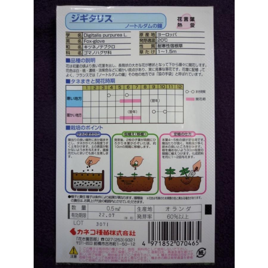 種子 処分 ジギタリス ノートルダムの鐘 カネコ種苗 22 06 狐の手袋 ゆうパケット便可能 a ガーデンショップ ミカワ 通販 Yahoo ショッピング