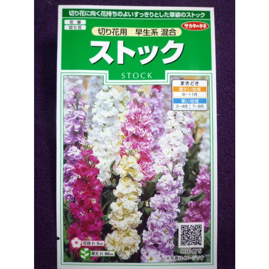 種子 処分 ストック 切り花用 早生系 混合 サカタのタネ 21 05 香り強く切り花向きに改良された ゆうパケット便可能 a ガーデンショップ ミカワ 通販 Yahoo ショッピング