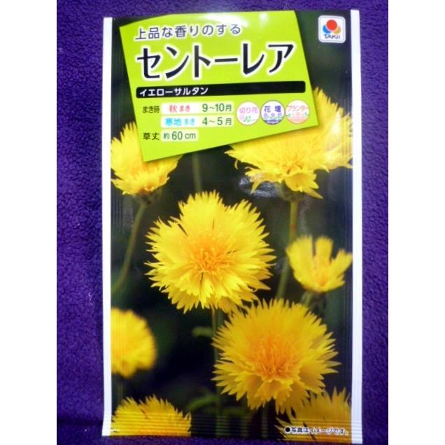種子 処分 セントーレア イエローサルタン タキイ種苗 22 04 花立ちよく さわやかな香り ゆうパケット便可能 a ガーデンショップ ミカワ 通販 Yahoo ショッピング