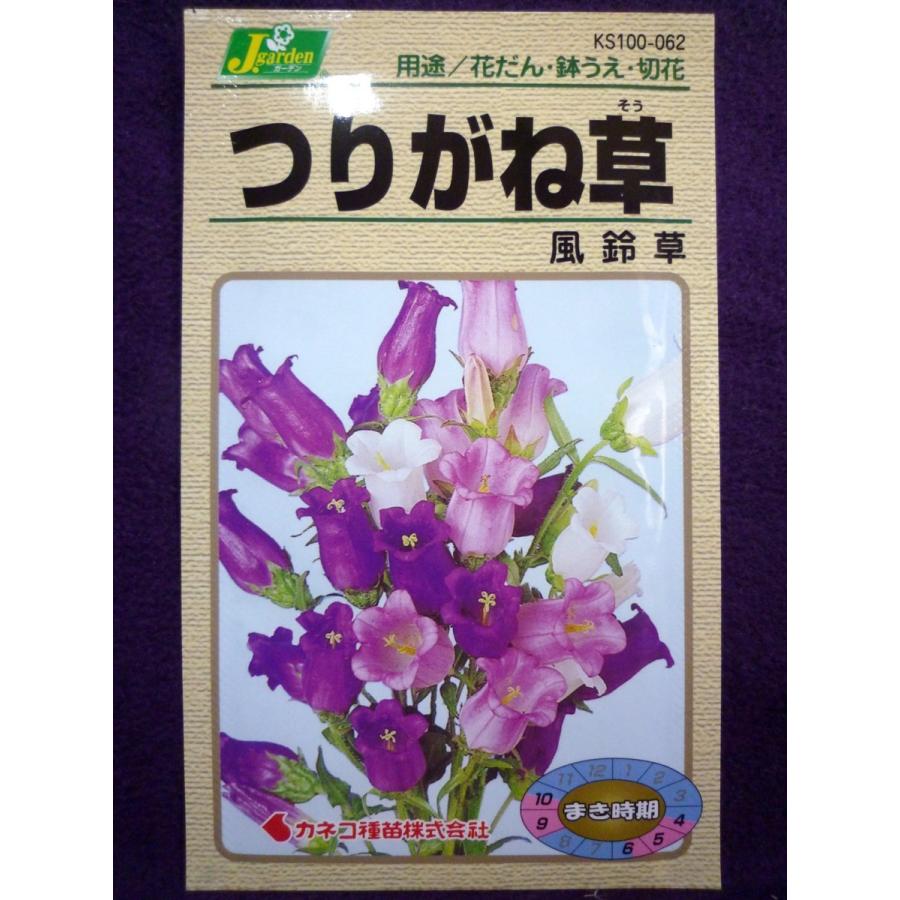 種子 つりがね草 風鈴草 カネコ種苗 22 11 かわいい鐘状の花 ゆうパケット便可能 b ガーデンショップ ミカワ 通販 Yahoo ショッピング