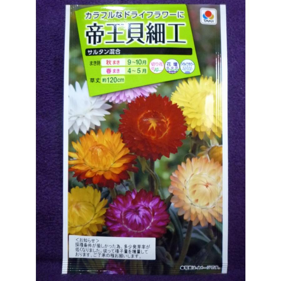 種子 処分 帝王貝細工 サルタン混合 タキイ種苗 22 05 鮮やかな色彩の混合 ゆうパケット便可能 a ガーデンショップ ミカワ 通販 Yahoo ショッピング