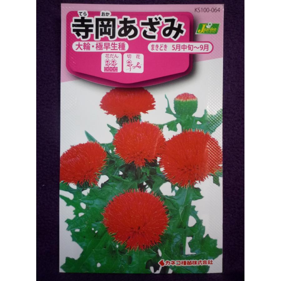 種子 寺岡あざみ 大輪 極早生種 カネコ種苗 23 02 野趣豊かな鮮紅色の大輪の花 ゆうパケット便可能 a ガーデンショップ ミカワ 通販 Yahoo ショッピング