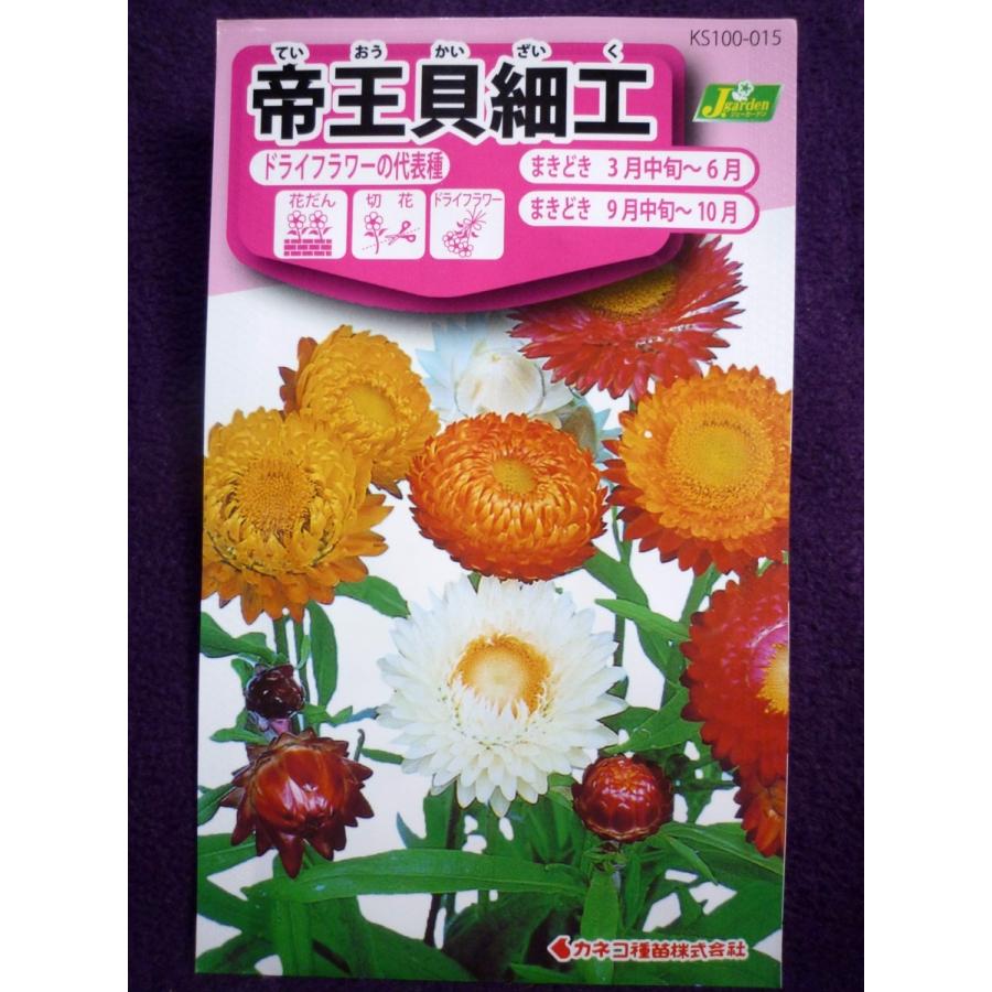 種子 帝王貝細工 カネコ種苗 22 04 ドライフラワーの代表種 ゆうパケット便可能 ガーデンショップ ミカワ 通販 Yahoo ショッピング
