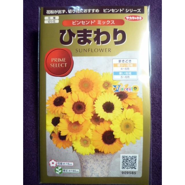 Ginger掲載商品 種子 ひまわり ビンセント R ミックス サカタのタネ 22 10 花粉が出ないので切り花におすすめ ゆうパケット便可能