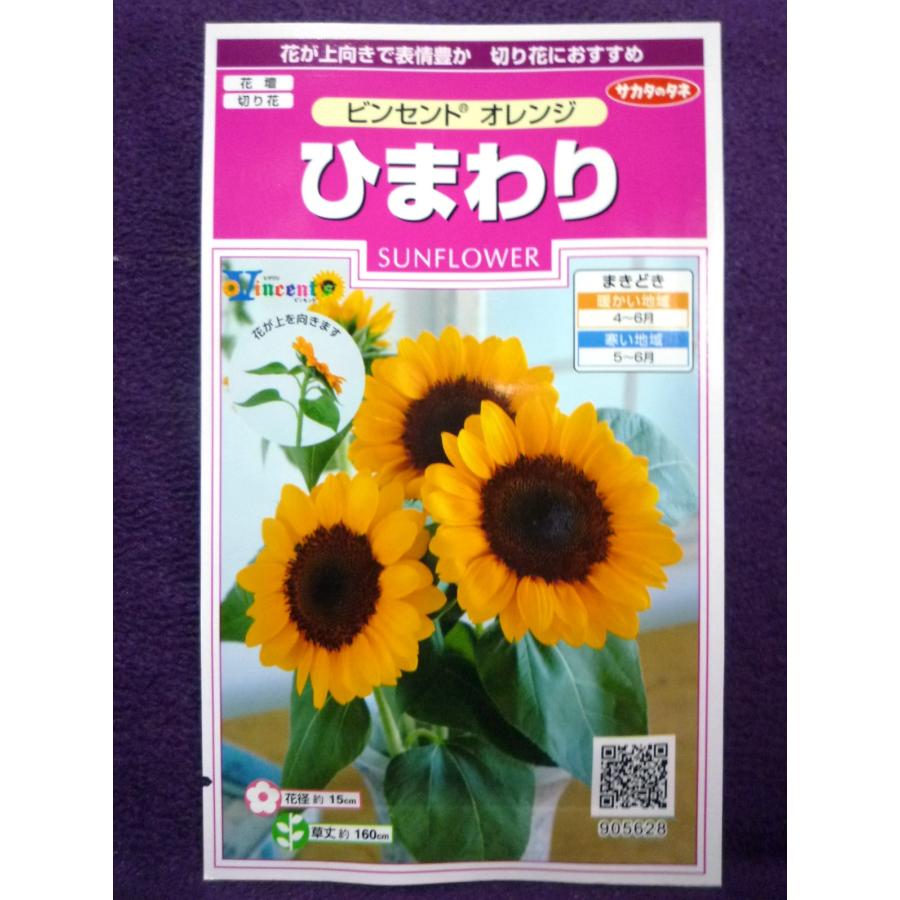 種子 処分 ひまわり ビンセント R オレンジ サカタのタネ 21 10 花粉が