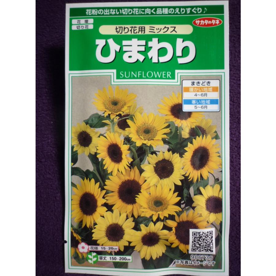 切り花用ひまわりの種の商品一覧 通販 Yahoo ショッピング