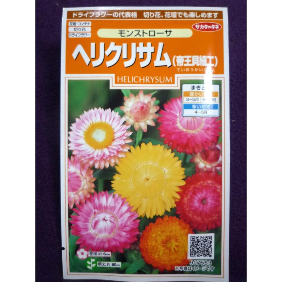 男女兼用 色混合 モンストローサ 帝王貝細工 ヘリクリサム ミックス 100粒以上 種 植物 観葉植物