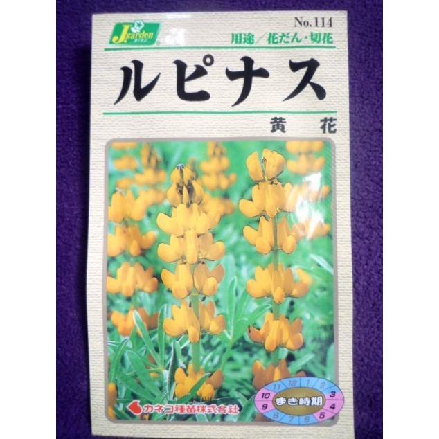 種子 処分 ルピナス 黄花 カネコ種苗 21 11 芳香のある濃黄色の花が穂状になって咲く ゆうパケット便可能 j ガーデンショップ ミカワ 通販 Yahoo ショッピング