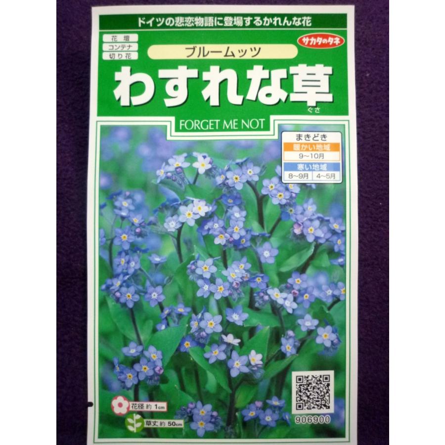種子 わすれな草 ブルームッツ サカタのタネ 23 05 切り花や花壇 コンテナ栽培に適します ゆうパケット便可能 ガーデンショップ ミカワ 通販 Yahoo ショッピング