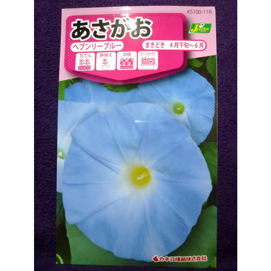 種子 あさがお ヘブンリーブルー カネコ種苗 22 11 世界的にも有名な品種です ゆうパケット便可能 h ガーデンショップ ミカワ 通販 Yahoo ショッピング