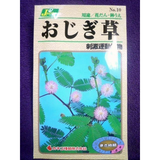 種子 処分 おじぎ草 刺激運動植物 カネコ種苗 22 01 学校の教材として愛培されています ゆうパケット便可能 j ガーデンショップ ミカワ 通販 Yahoo ショッピング