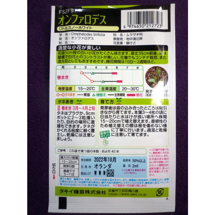 種子 オンファロデス リトルスノーホワイト