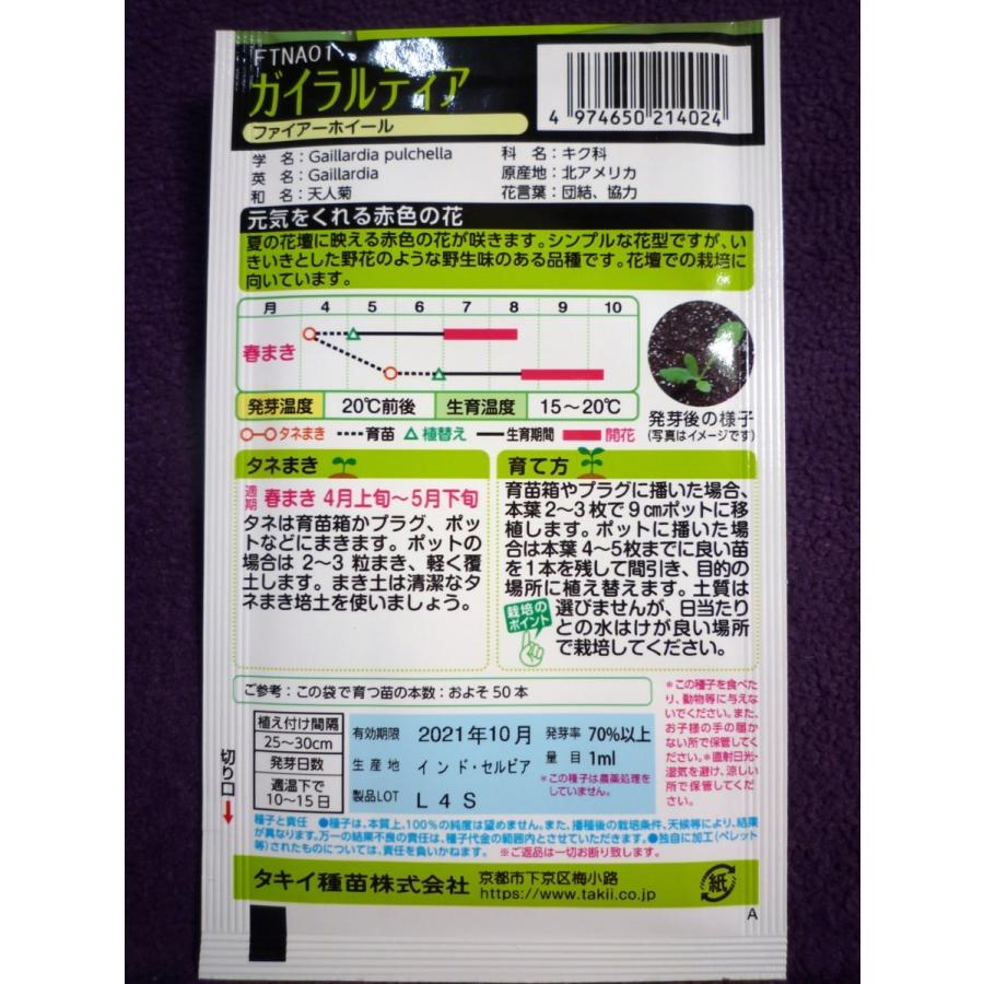 種子 ガイラルディア ファイヤーホイール タキイ種苗 21 10 野花のような野性味のある品種 ゆうパケット便可能 ガーデンショップ ミカワ 通販 Yahoo ショッピング