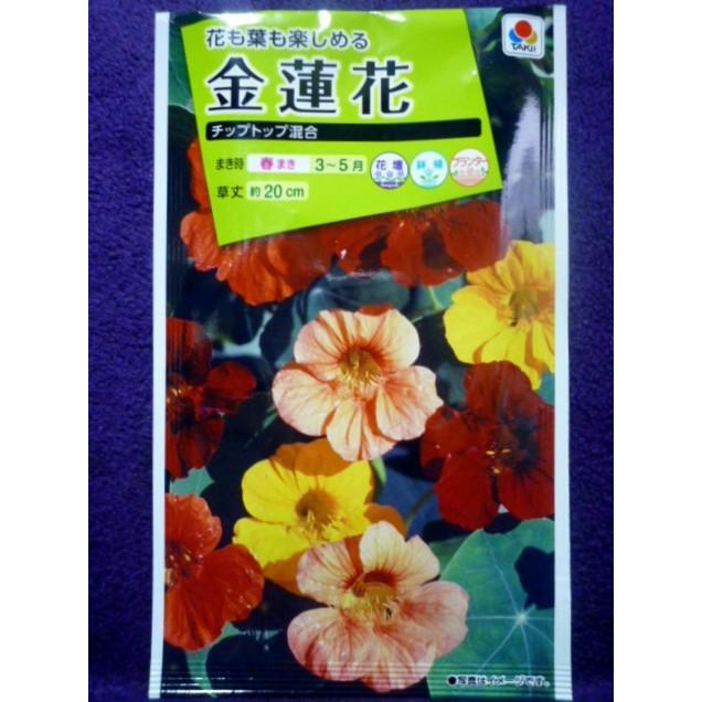 種子 処分 お中元 金蓮花 ナスタチューム チップトップ混合 ゆうパケット便可能 21 10 花も葉も楽しめる タキイ種苗