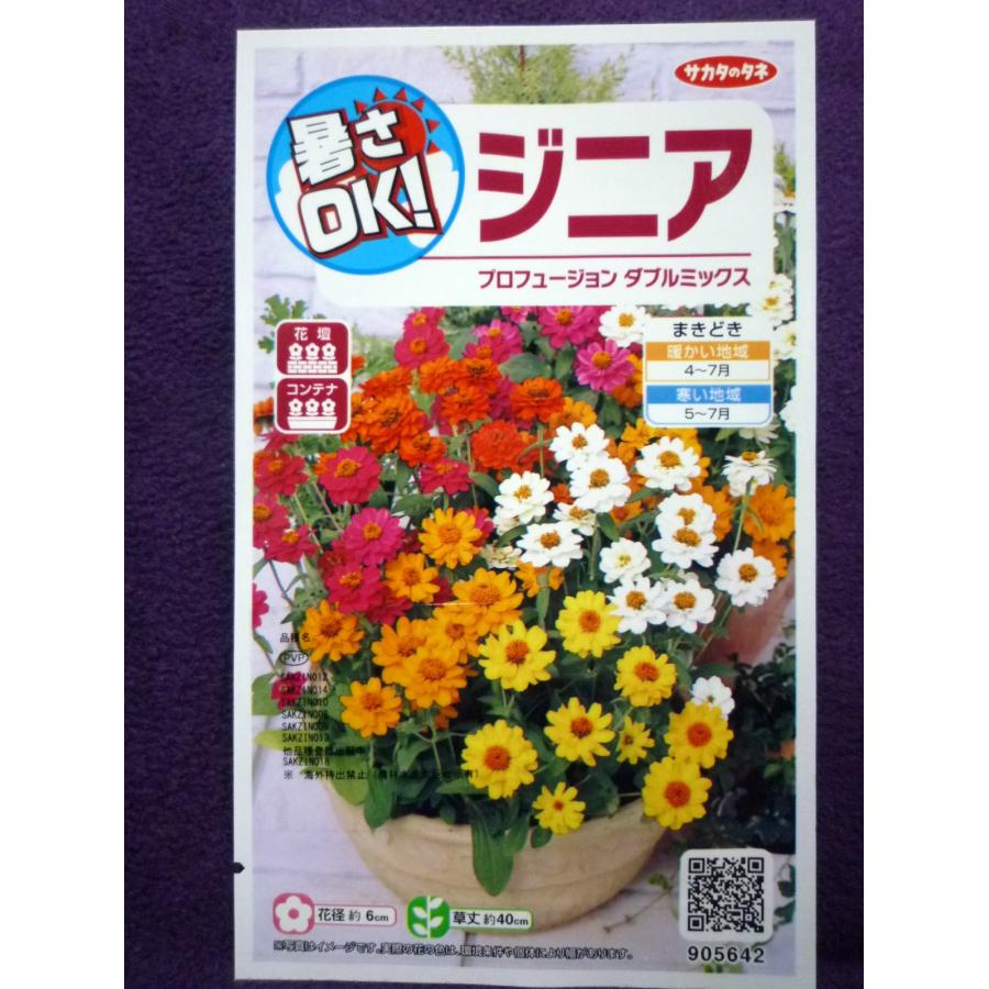 種子 暑さok ジニア プロフュージョン ダブルミックス サカタのタネ 21 10 初心者にもお奨め ゆうパケット便可能 ガーデンショップ ミカワ 通販 Yahoo ショッピング