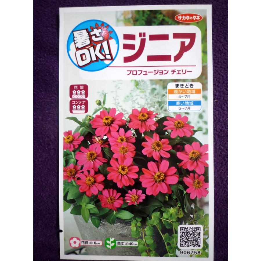 小物などお買い得な福袋 種子 暑さok ジニア プロフュージョン チェリー サカタのタネ 22 10 初心者にもおすすめ ゆうパケット便可能