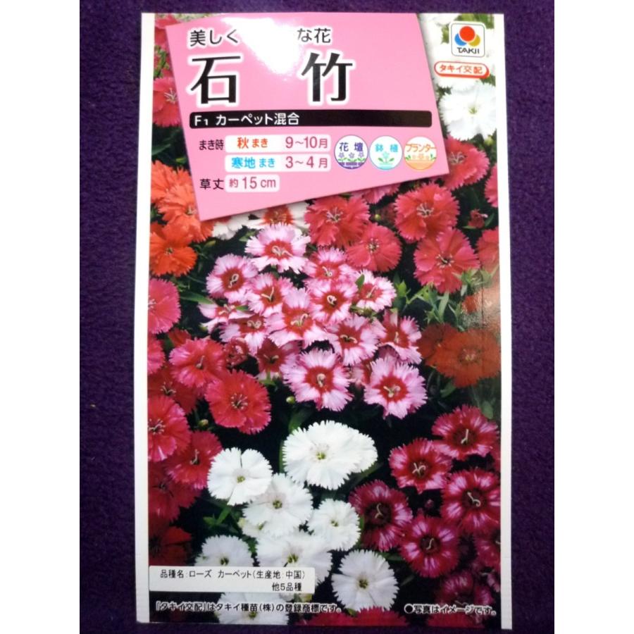 種子 処分 石竹 ｆ１ カーペット混合 タキイ種苗 22 04 草姿が整った美しい石竹 ゆうパケット便可能 a ガーデンショップ ミカワ 通販 Yahoo ショッピング