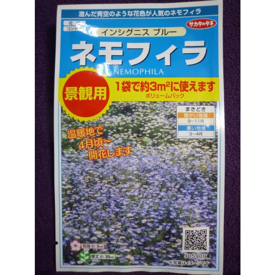 種子 景観用 ネモフィラ インシグニス ブルー サカタのタネ 21 10 ゆうパケット便可能 b ガーデンショップ ミカワ 通販 Yahoo ショッピング