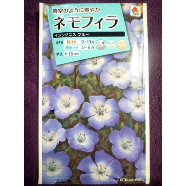 種子 ネモフィラ インシグニス ブルー タキイ種苗 21 08 ゆうパケット便可能 f ガーデンショップ ミカワ 通販 Yahoo ショッピング