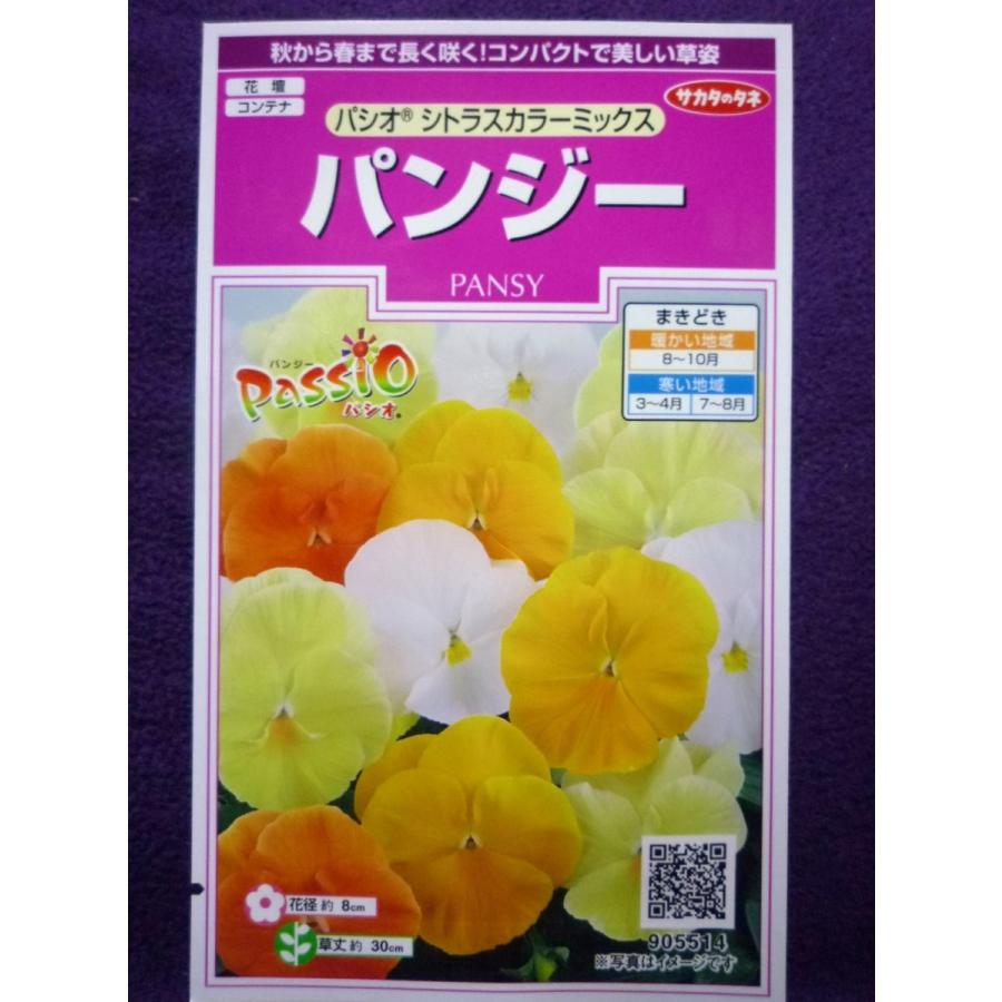 種子 処分 パンジー パシオ ｒ シトラスカラーミックス サカタのタネ 22 05 秋 春長く咲く ゆうパケット便可能 a ガーデンショップ ミカワ 通販 Yahoo ショッピング
