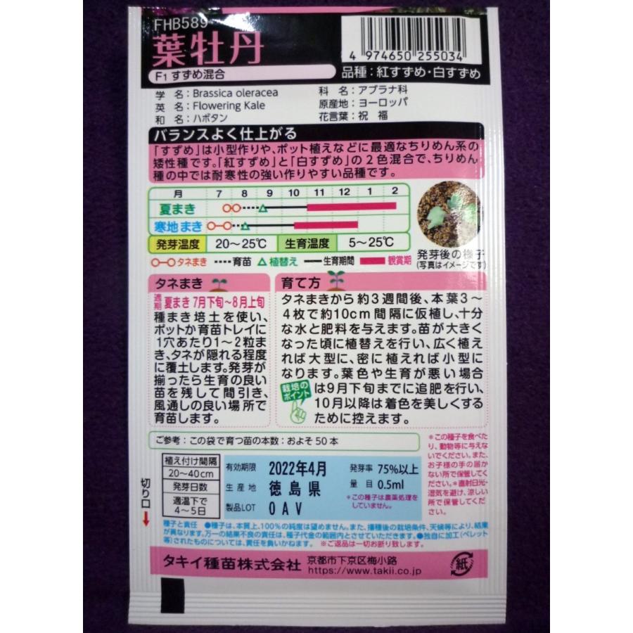 ★種子★処分★ 葉牡丹 F1すずめ 混合 タキイ種苗 22.04 ◎ちりめん系の矮性種♪ (ゆうパケット便可能)|farmmikawa|02