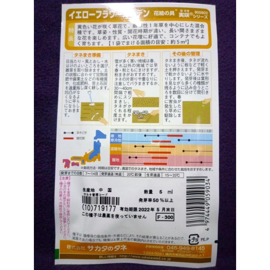 ★種子★処分★ 花絵の具 イエローフラワーガーデン サカタのタネ 22.05 ◎何が咲くのか楽しみ♪ (ゆうパケット便可能)|farmmikawa|02