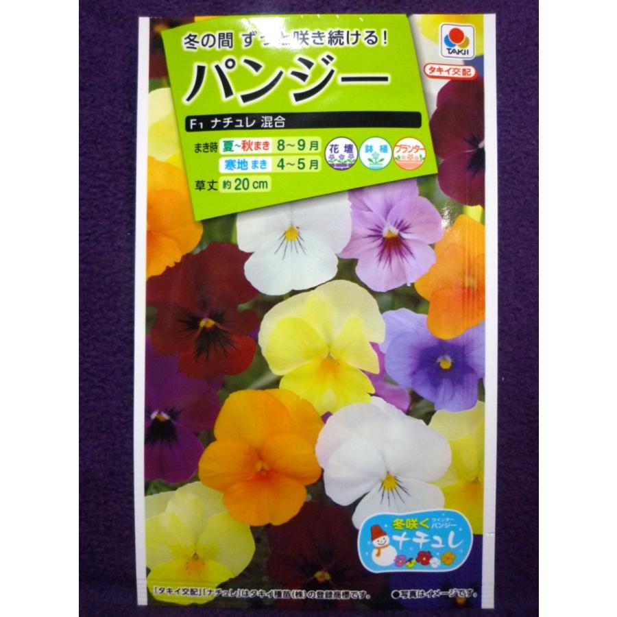 59円 古典 パンジーの種 フローラルデイズ ラズベリー 小袋