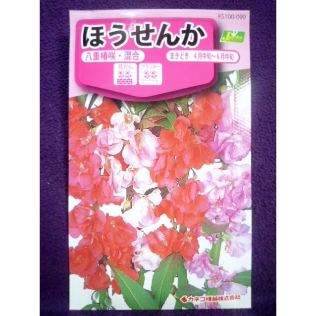 種子 ほうせんか 八重椿咲 混合 カネコ種苗 21 12 真夏でもどんどん育つ ゆうパケット便可能 a ガーデンショップ ミカワ 通販 Yahoo ショッピング