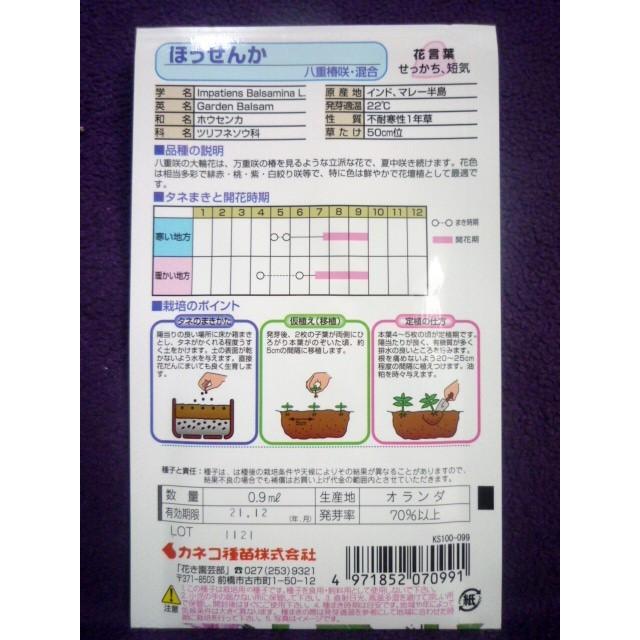 種子 ほうせんか 八重椿咲 混合 カネコ種苗 21 12 ゆうパケット便可能 a ガーデンショップ ミカワ 通販 Yahoo ショッピング