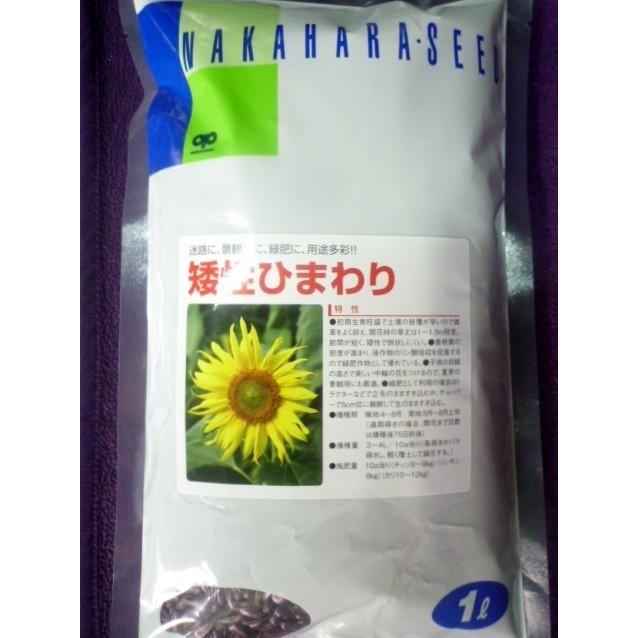 Ginger掲載商品 種子 ひまわり ビンセント R ミックス サカタのタネ 22 10 花粉が出ないので切り花におすすめ ゆうパケット便可能