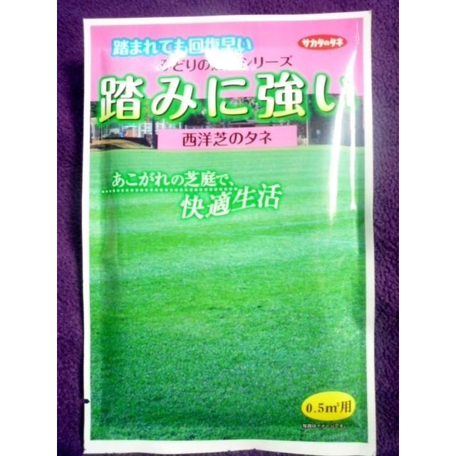 種子 踏みに強い みどりの芝生シリーズ 西洋芝のタネ サカタのタネ 21 10 ゆうパケット便可能 a ガーデンショップ ミカワ 通販 Yahoo ショッピング