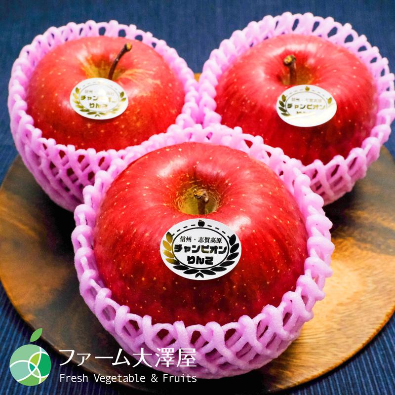 楽天市場】クリスマスリース りんごの通販