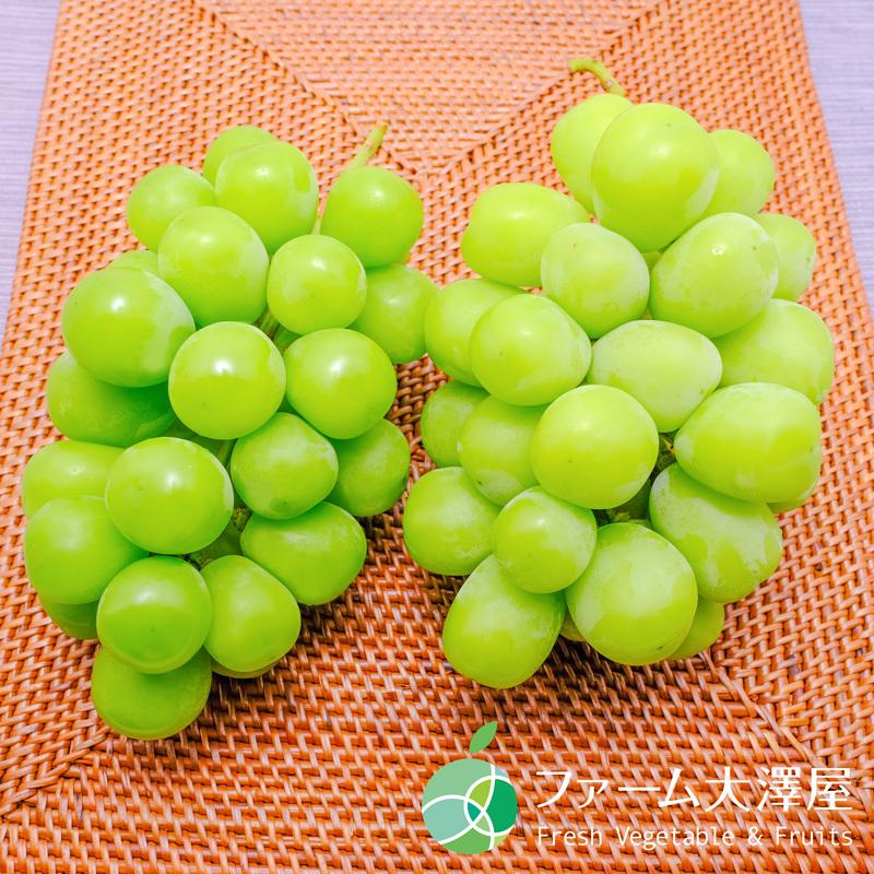 長野県産　大粒シャインマスカット　4房セット 長野県産 シャインマスカット 4房セット ｜ 1房約450-500g 国産