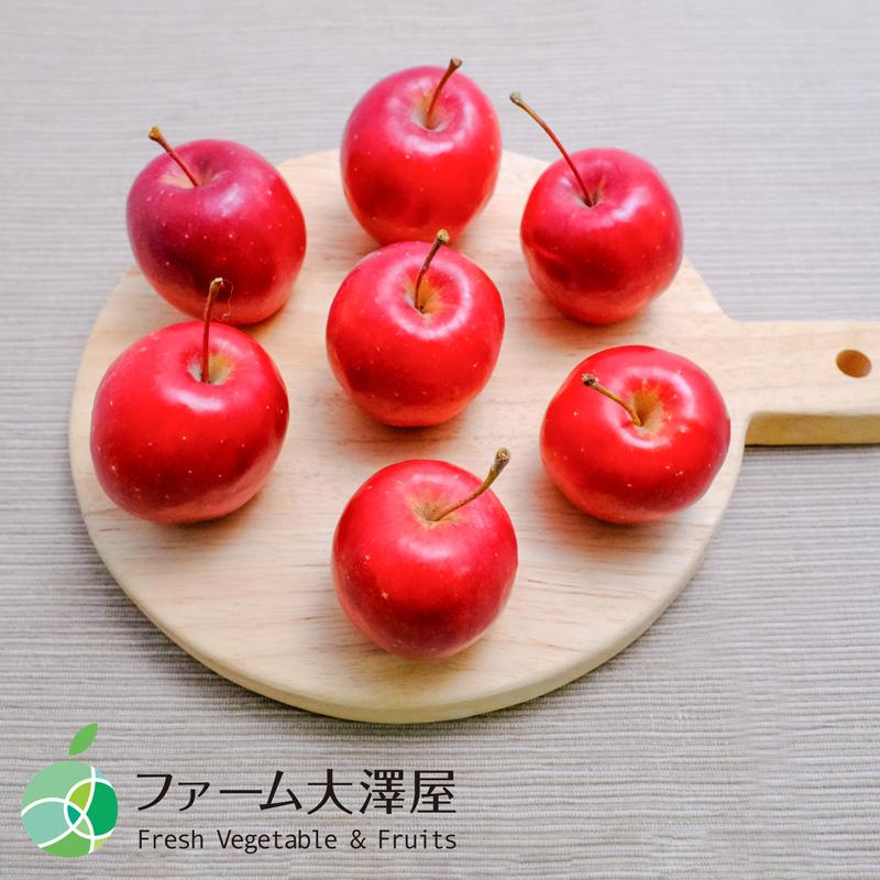 アルプス乙女 姫りんご 家庭用 約1kg 15-40玉 長野県産 林檎 調理用 