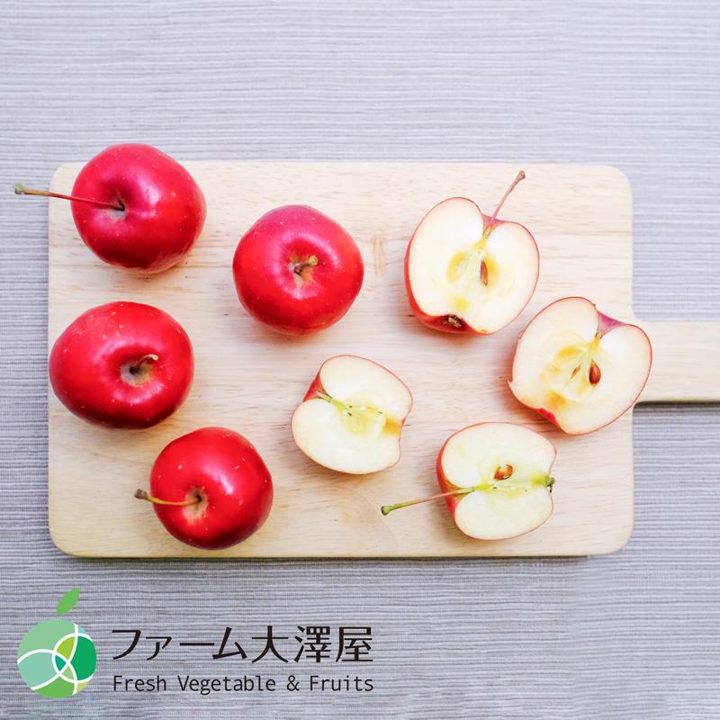アルプス乙女 姫りんご 家庭用 約1kg 15-40玉 長野県産 林檎 調理用 