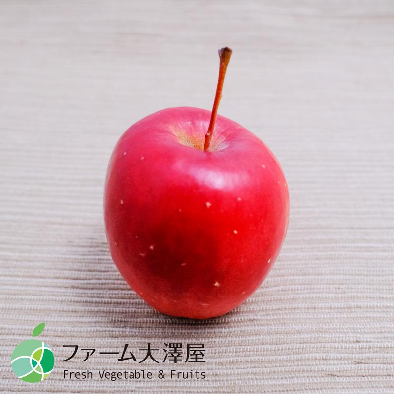 アルプス乙女 姫りんご 家庭用 約1kg 15-40玉 長野県産 林檎 調理用 