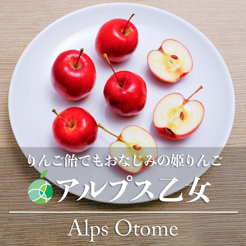 アルプス乙女 姫りんご 家庭用 約5kg 75-200玉 長野県産 林檎 調理用 
