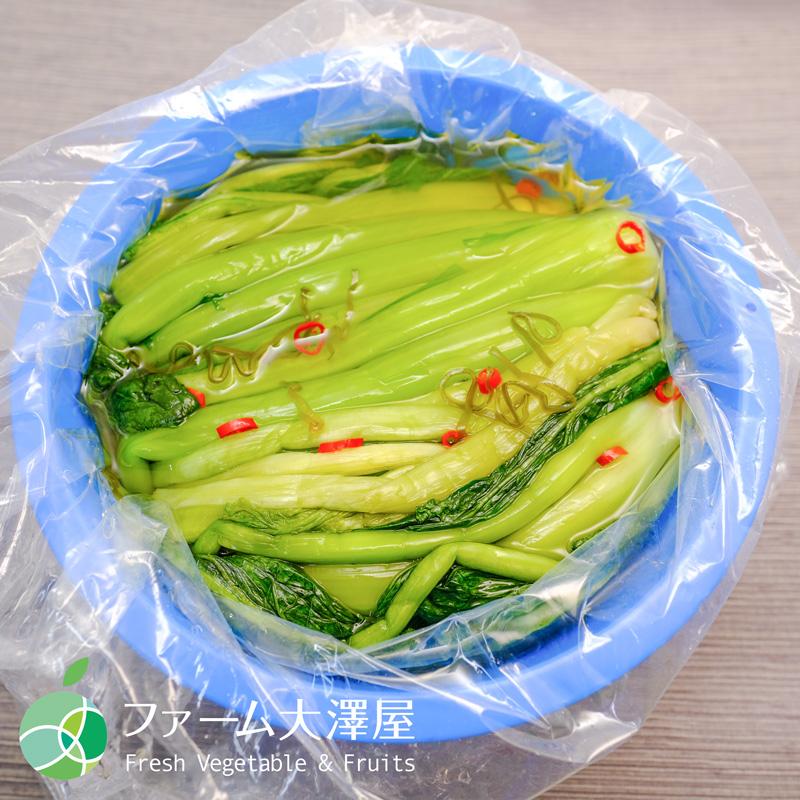 本場野沢温泉 野沢菜漬 バケツ 約1.5kg 漬け物 岡本商店 長野県木島平