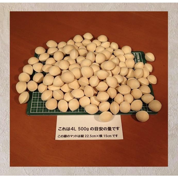 2024年 新物！! 愛知県 祖父江産 久寿 銀杏 ぎんなん 4L 3kg 生産者 