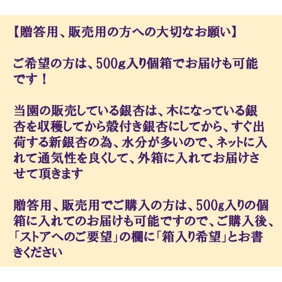 野菜 2023年新物！! 愛知県 祖父江産 藤九郎銀杏 ぎんなん 4L 3kg 生産