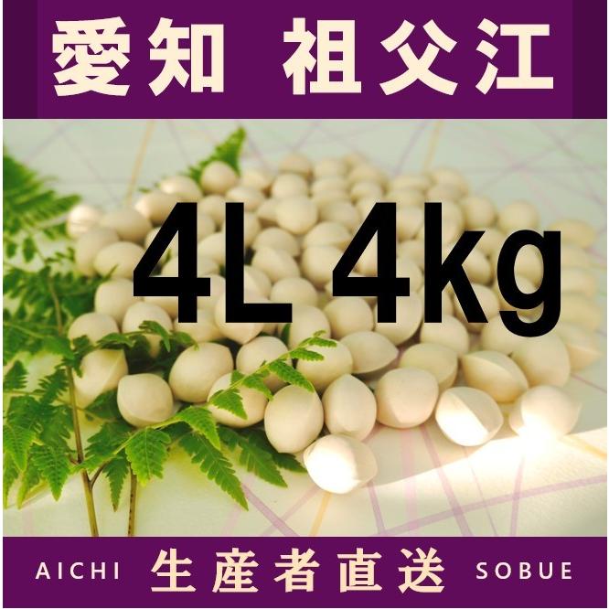 2024年 新物！! 愛知県 祖父江産 久寿 銀杏 ぎんなん 4L 4kg 生産者 