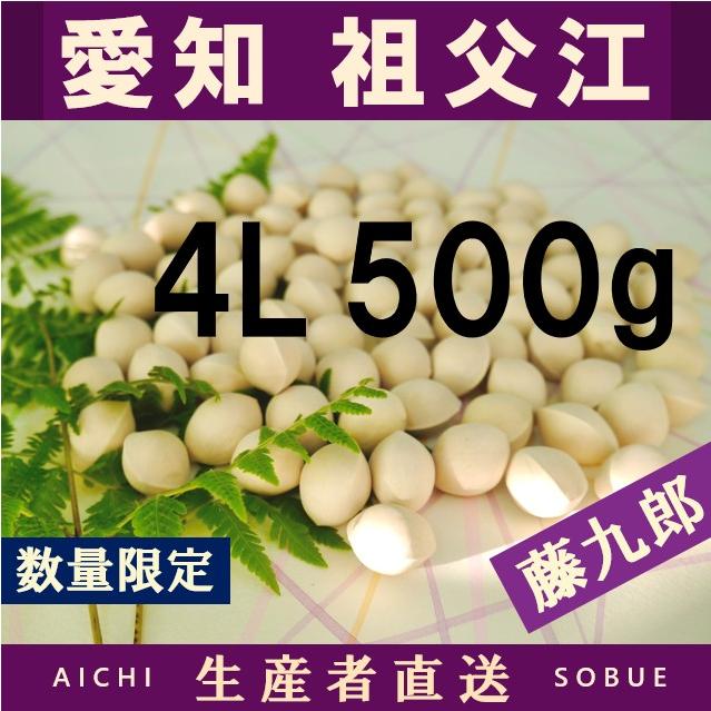 2024年 新物！! 愛知県 祖父江産 藤九郎銀杏 ぎんなん 4L 500g 生産者 