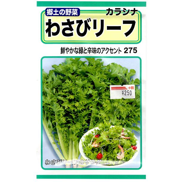 トーホク 野菜の種 種子 からし菜 わさびリーフ 種 レターパックライト発送 全国一律370円 ファームトップ 通販 Paypayモール
