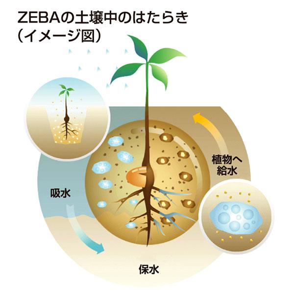 農業用土壌改良材 ZEBA ゼバ 5kg コーンスターチ由来の保水材 農業用土壌改良材 ZEBA ゼバ 5kg コーンスターチ由来の保水材